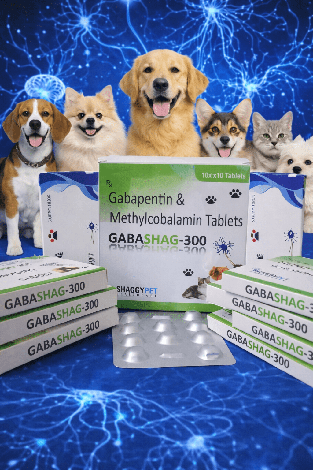 GABASHAG 300 TABLETS