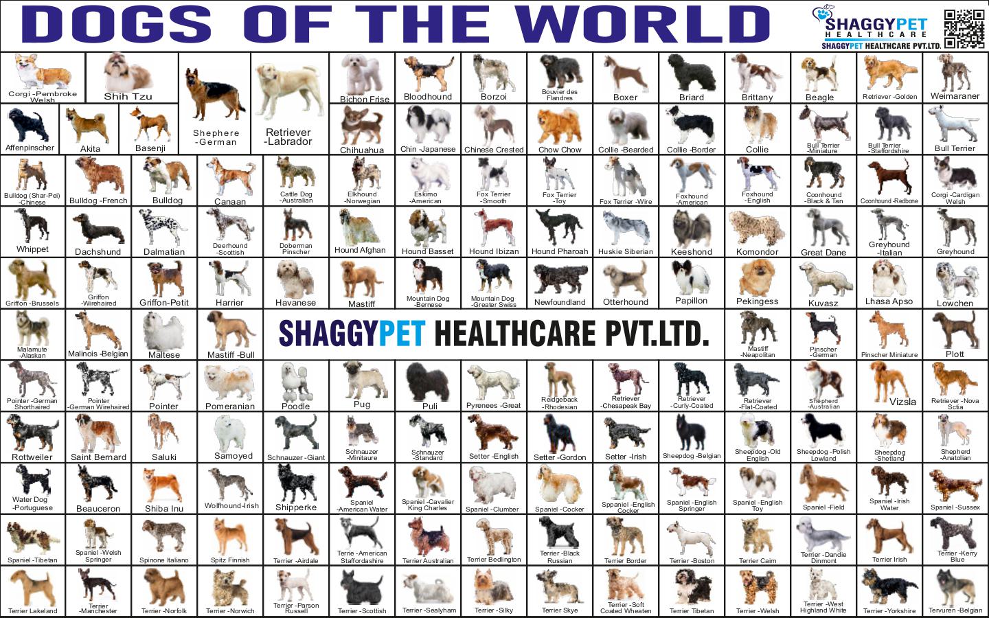 dogs of the world