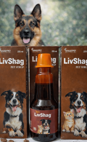 LIVSHAG SYRUP