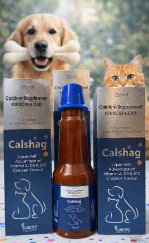 CALSHAG SYRUP