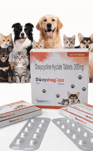 DOXYSHAG 300 TABLETS