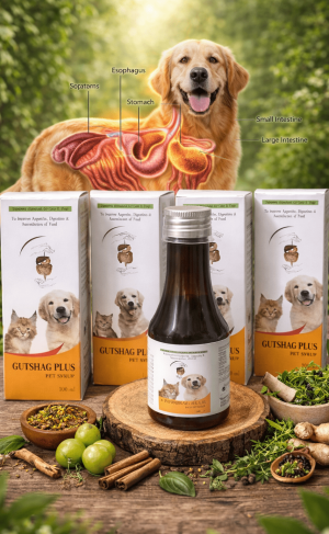 GUTSHAG PLUS HERBAL SYRUP